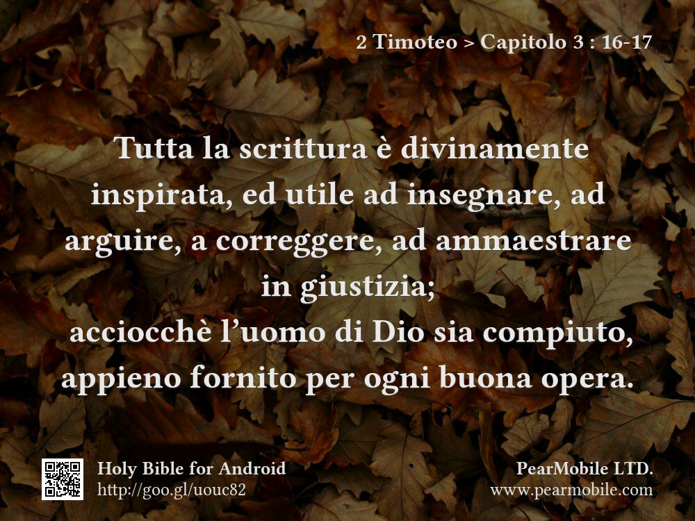 2 Timoteo, Capitolo 3:16-17